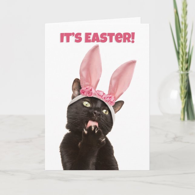 Happy Easter For Anyone Funny Cat in Bunny Ears Holiday Card (Front)