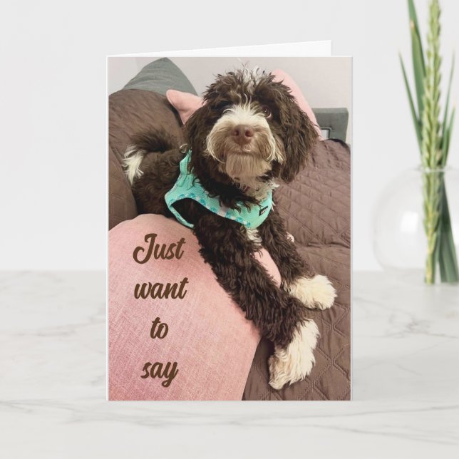 **HAPPY EASTER** FROM ADORABLE BERNEDOODLE HOLIDAY CARD (Front)
