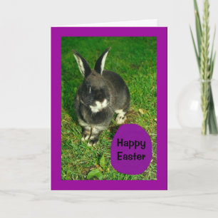 Happy Easter From Somebunny Who Loves You! Holiday Card