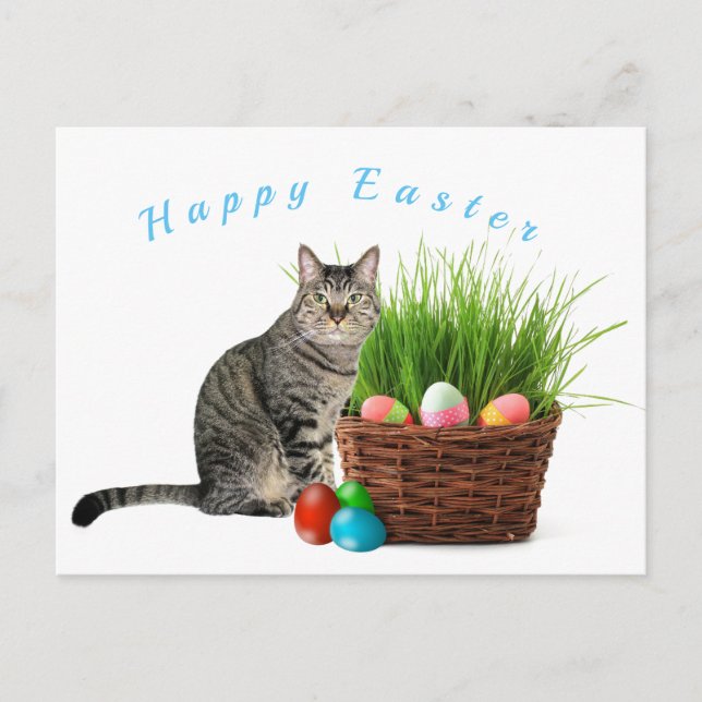 Happy Easter From Your Cat Postcard (Front)