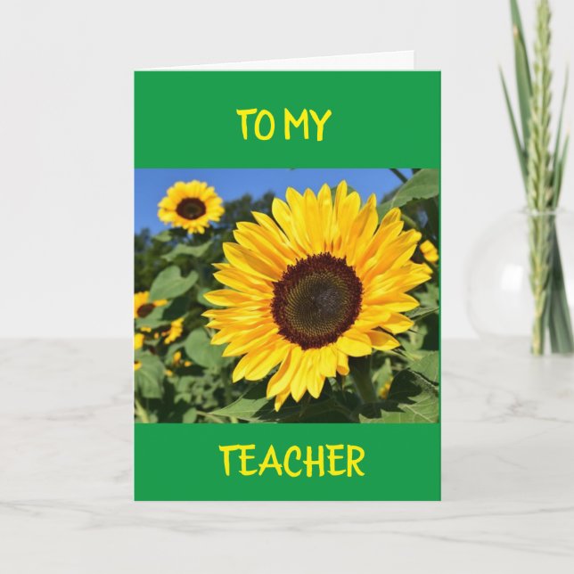HAPPY EASTER, HAPPY SPRING, HAPPY EVERYTHING CARD (Front)