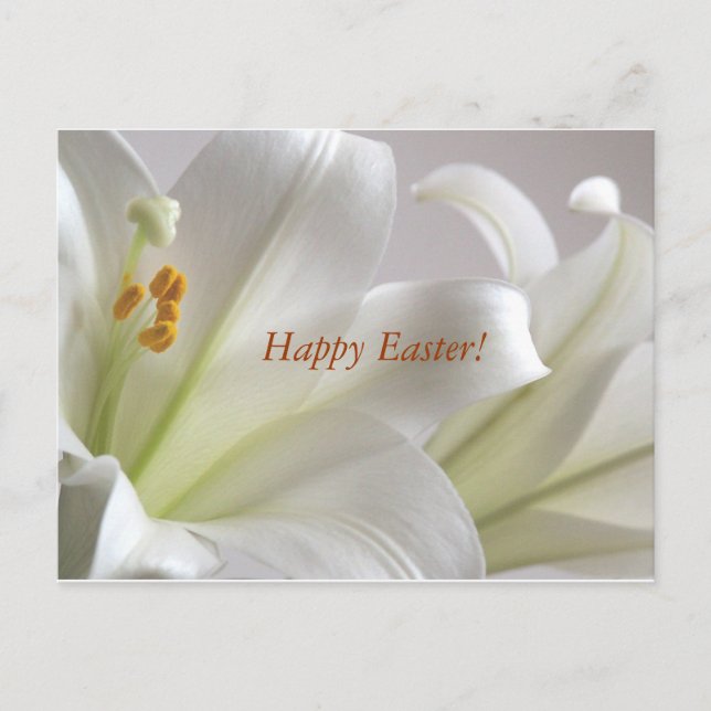 Happy Easter Holiday Postcard (Front)