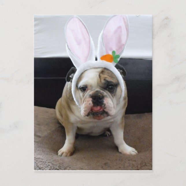 Happy Easter Holiday Postcard (Front)