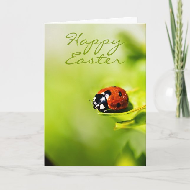 Happy Easter Ladybird On A Horthorn Bush - Spring Holiday Card (Front)