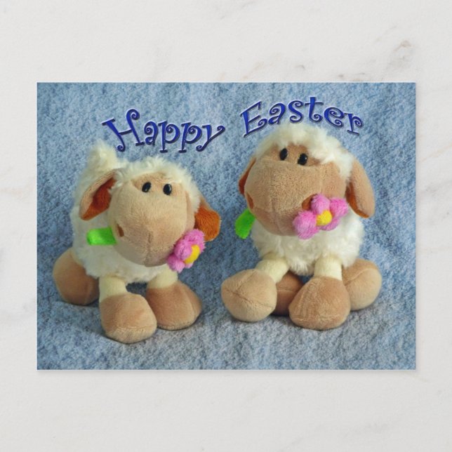 Happy Easter Lambs Holiday Postcard (Front)
