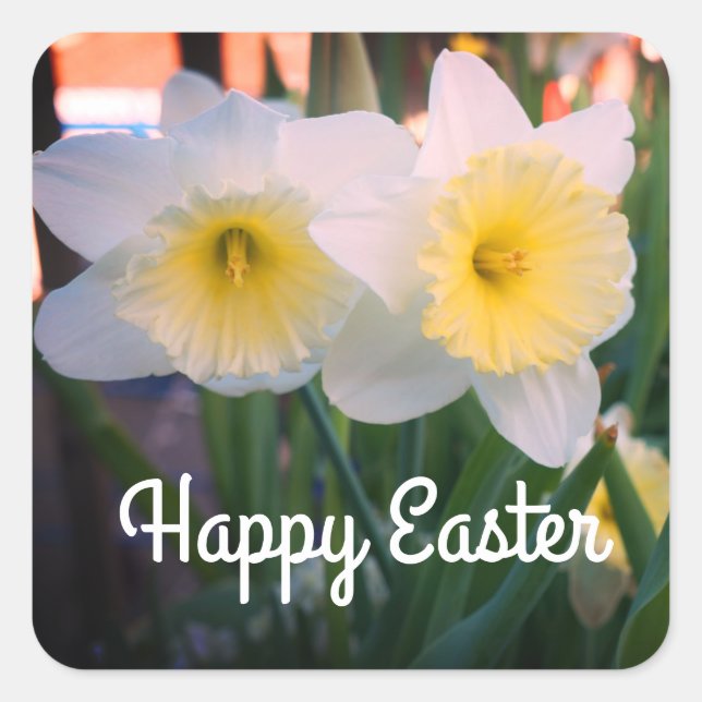 Happy Easter Large-Cupped Daffodil Stickers (Front)
