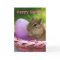 Happy Easter Little Chipmunk