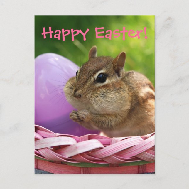 Happy Easter Little Chipmunk Holiday Postcard (Front)