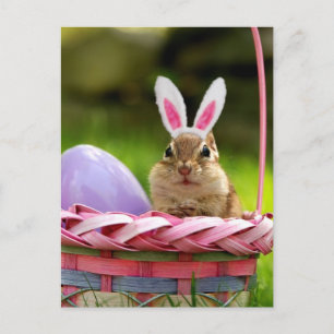Happy Easter Little Chipmunk Holiday Postcard