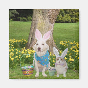 Happy Easter Magnet