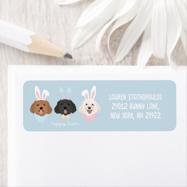 Happy Easter Maltipoo Dogs (Insitu)