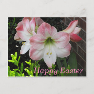 Happy Easter Pink Lily Postcard