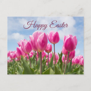 Happy Easter Pink Tulip Flowers  Postcard