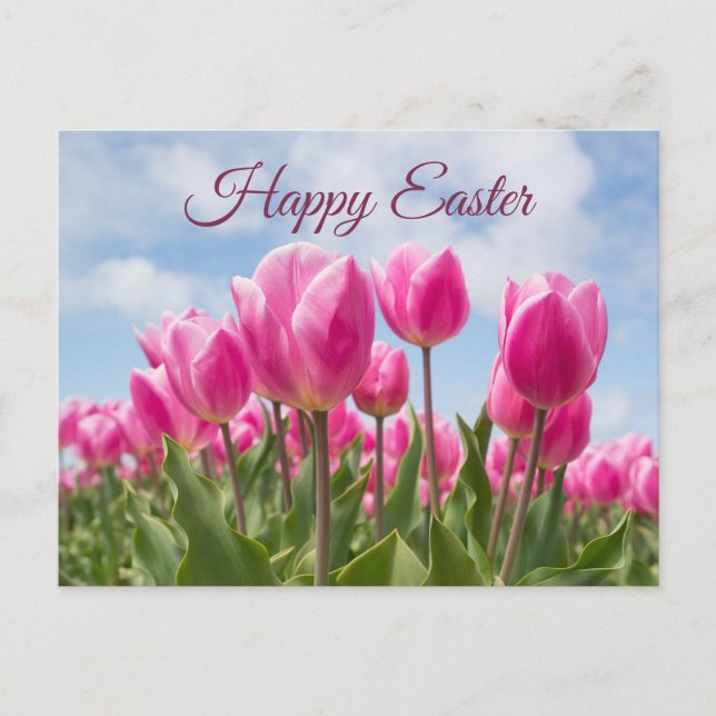 Happy Easter Pink Tulip Flowers  Postcard (Front)