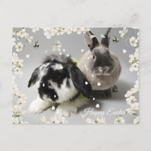 Happy Easter Postcard