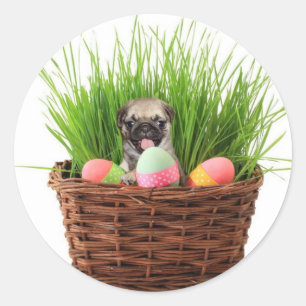 Happy Easter pug puppy Classic Round Sticker