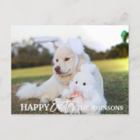 HAPPY EASTER Retriever Dog Puppy Rabbit Ears PHOTO