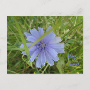 Happy Easter Sweet Blue Flower Card