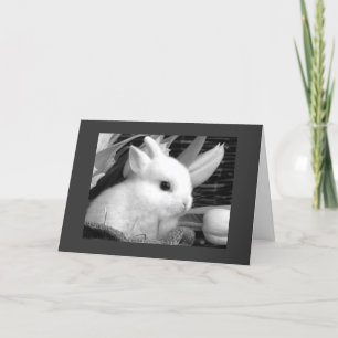 HAPPY EASTER TO MY "HONEY BUNNY" HOLIDAY CARD