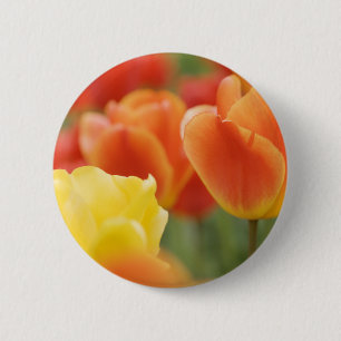 Happy Easter Tulips 6 Cm Round Badge