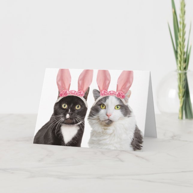 Happy Easter Two Cute Cats in Bunny Ears Humour Holiday Card (Front)