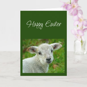 Happy Easter wishes with Lamb of God  Card