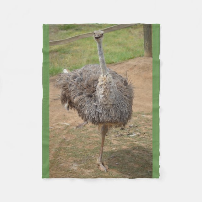 Happy emu standing on one leg blanket (Front)
