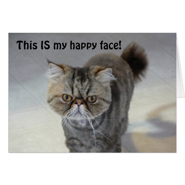 Happy Face Cat Card (Front Horizontal)