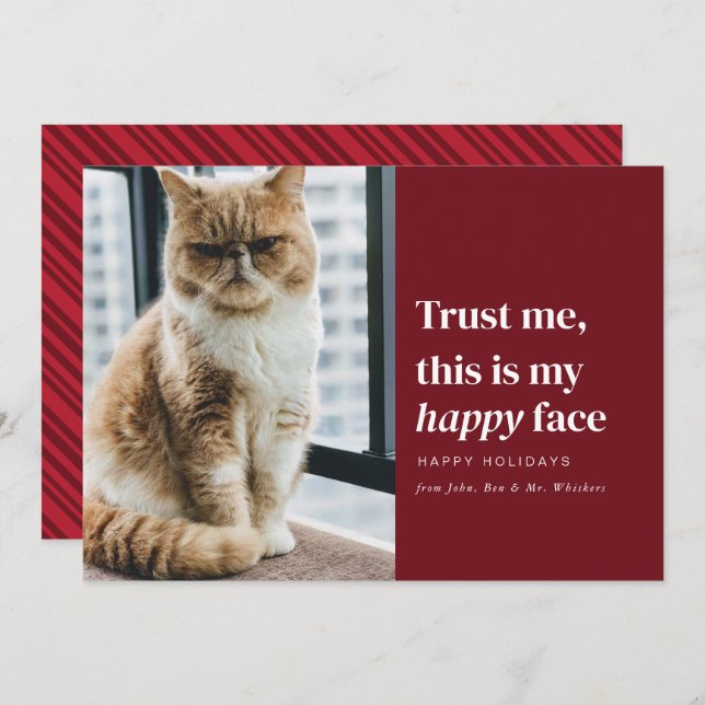 Happy Face Funny Pet Photo Christmas Holiday Card (Front/Back)