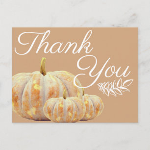 Happy Fall Harvest Pumpkins Thank You Postcard