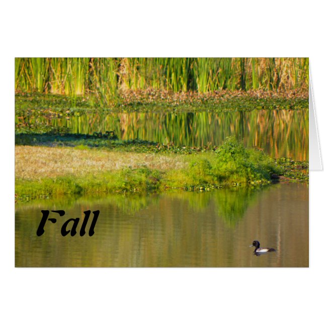 Happy Fall, Pond with Duck (Front Horizontal)