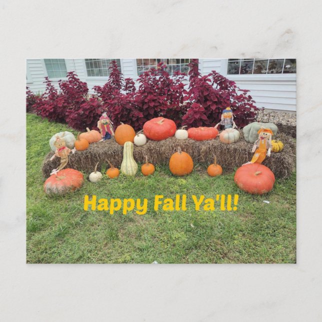 Happy Fall Ya'll! Postcard (Front)