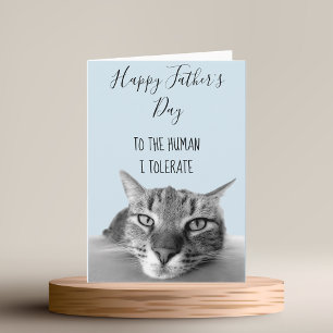 Happy Father's Day  From Cat To Human I Funny Card