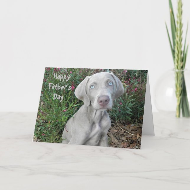 Happy Father's Day ... From The Weimaraner Dog  Card (Front)