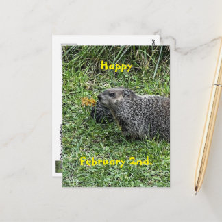 Happy February 2nd Custom Groundhog Postcards