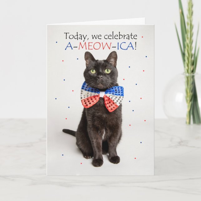 Happy Fourth of July For Anyone Cute Patriotic Cat Holiday Card (Front)