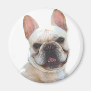 Happy French Bulldog Magnet