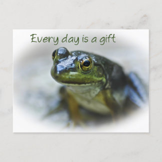 Happy Frog Encouragement Postcard