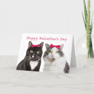 Happy Galentine's Day Cute Girl Cats Holiday Card