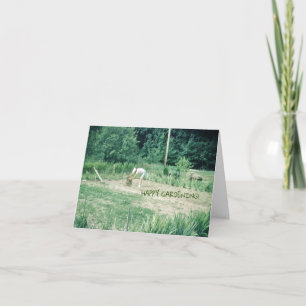 Happy Gardening Friend Garden Card