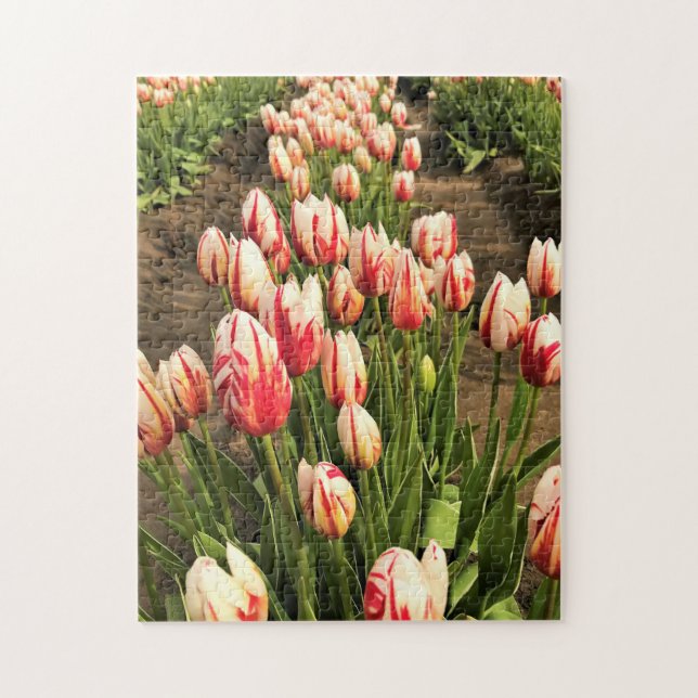 Happy Generation Tulips Jigsaw Puzzle (Vertical)