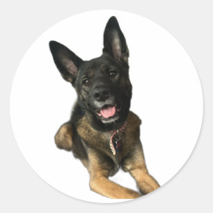 Happy German Shepard style dog sticker