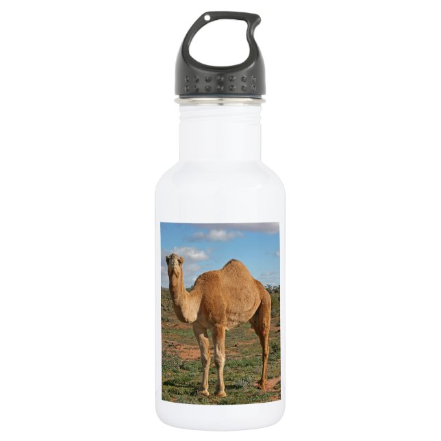 HAPPY GIFTING 532 ML WATER BOTTLE (Front)