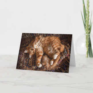 Happy Ginger Cat Birthday Card