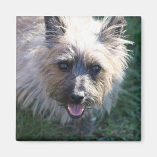 Happy Girl Magnet