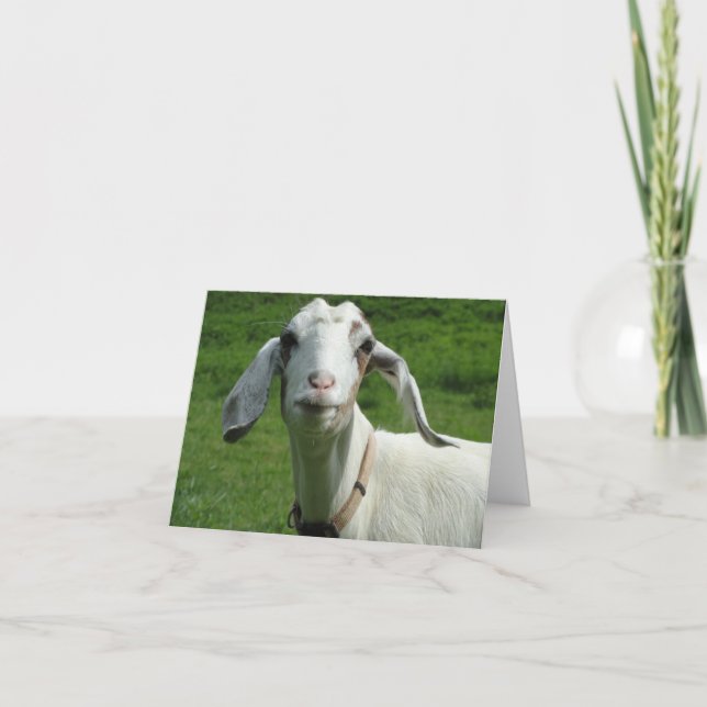Happy Goat Card (Front)