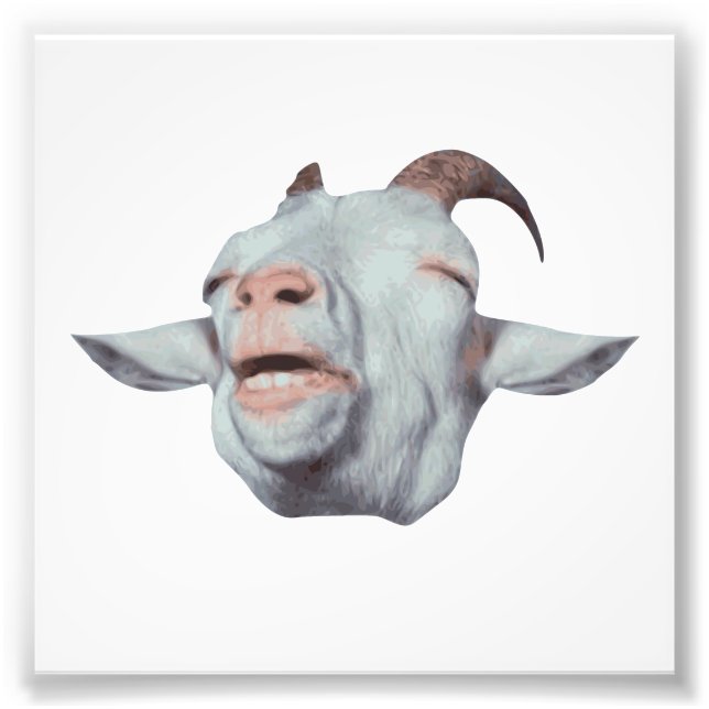 Happy Goat is Faded Photo Print (Front)