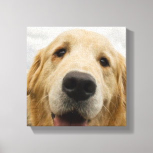 Happy Golden Retriever Canvas Print
