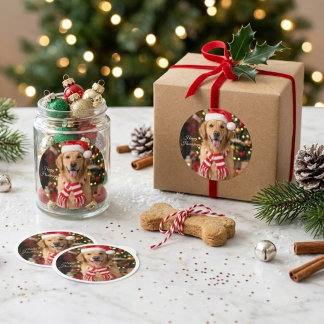 Happy Golden Retriever Cute Christmas Dog Classic Round Sticker