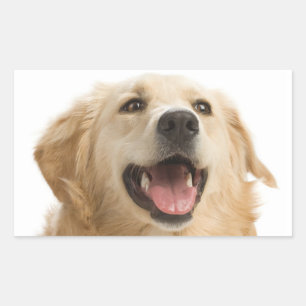 Happy Golden Retriever Puppy Dog Stickers